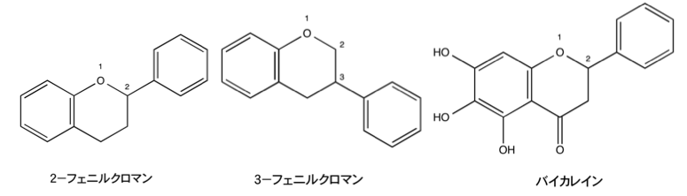 解説画像